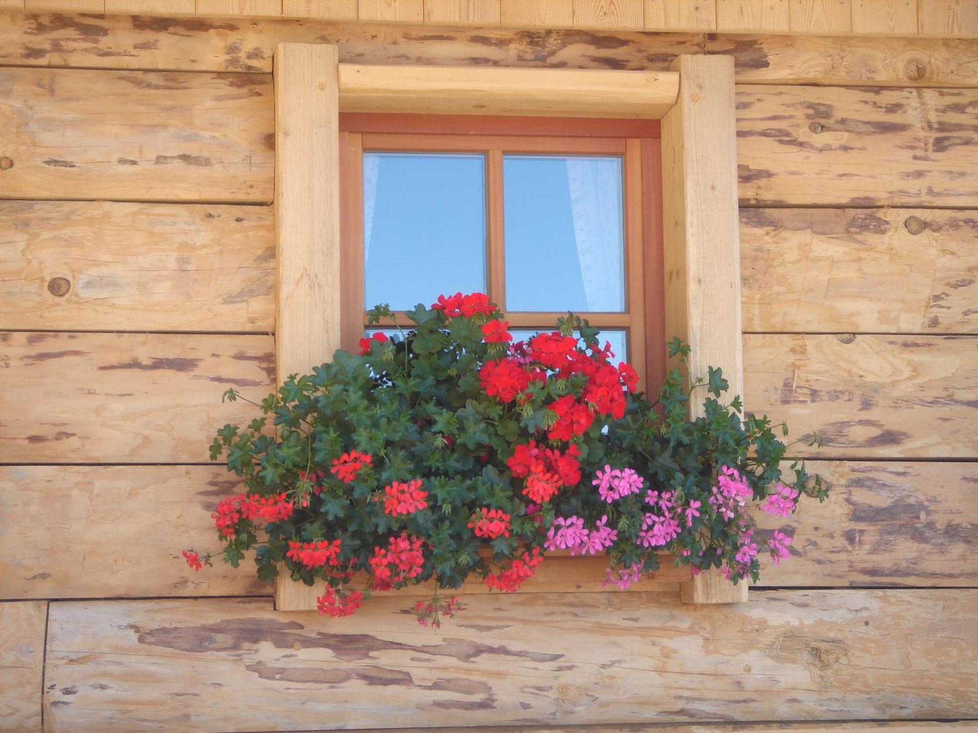 Haus Sonnleitn Otel Sankt Johann im Pongau Dış mekan fotoğraf